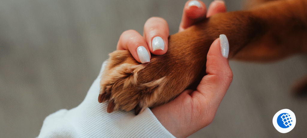 dog-paws