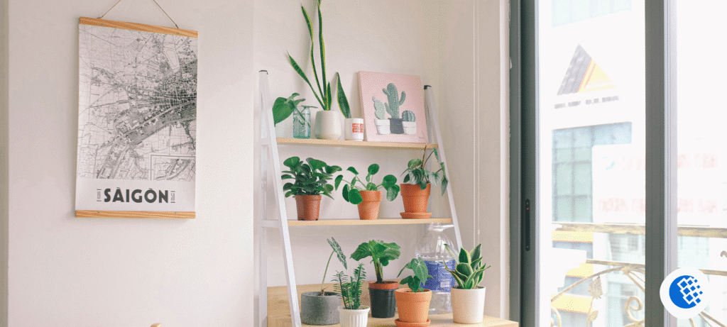 Home Improvement Supplies