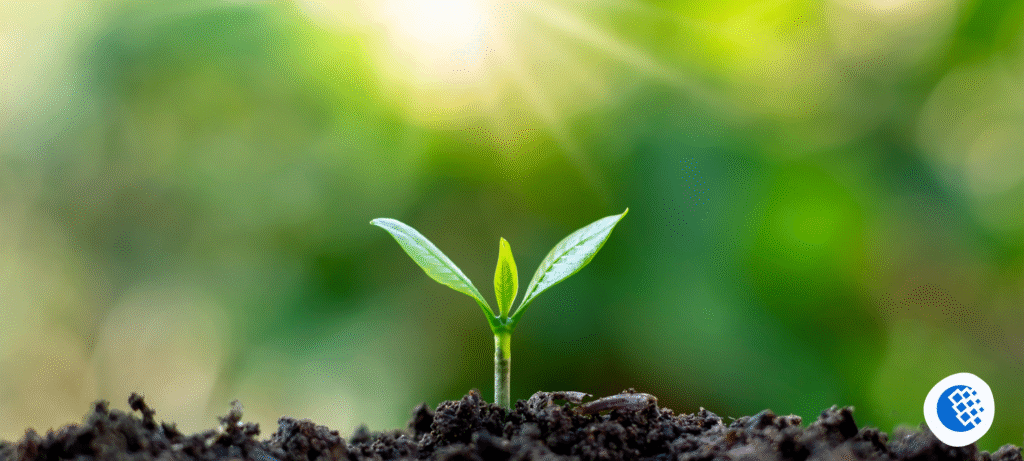 Holistic Fertility in Florida