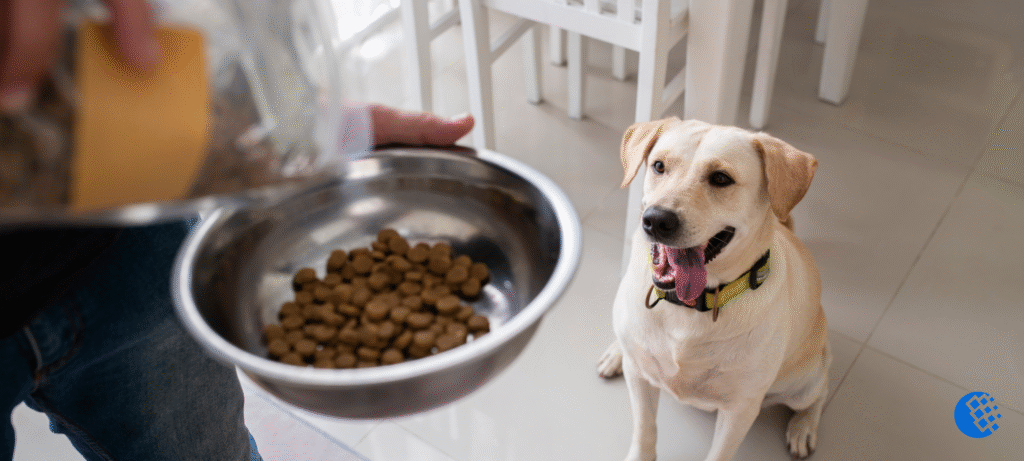 Balanced Puppy Food