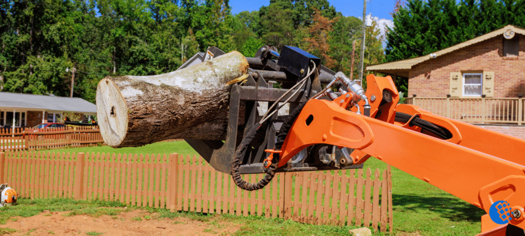 trusted local tree removal service in Columbus