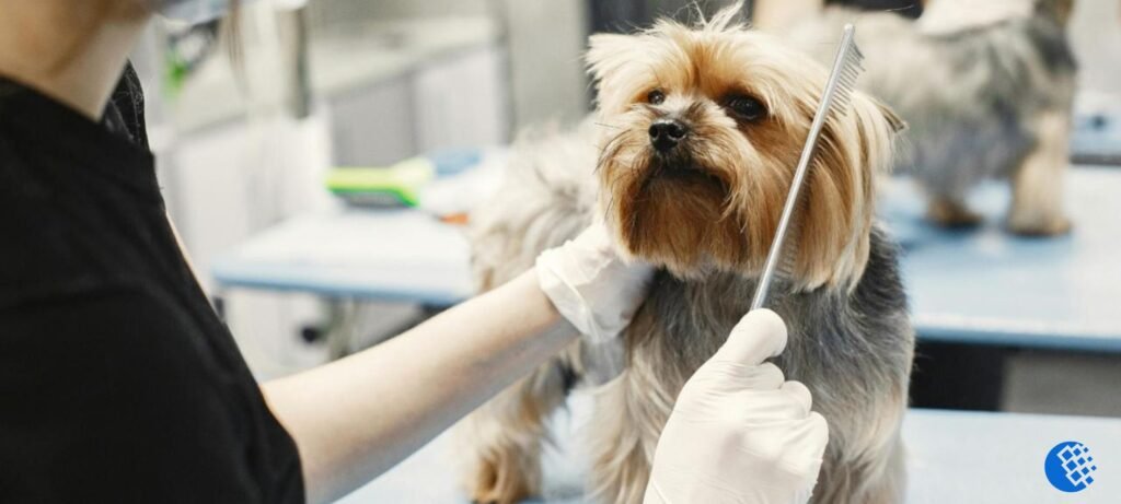 pet grooming in Virginia Beach