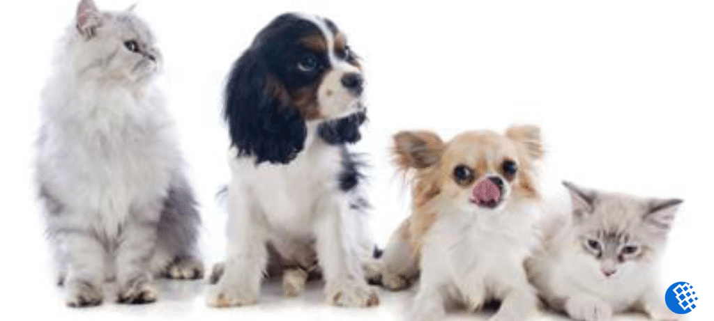 Comprehensive aftercare services