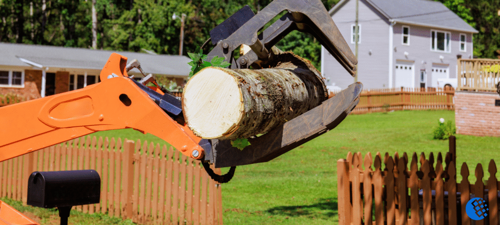 tree removal warren mi