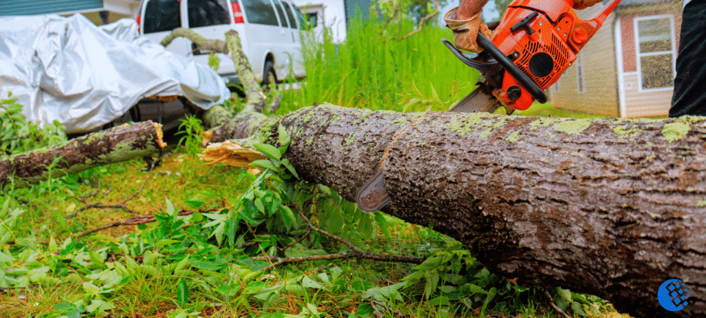 tree service conway ar